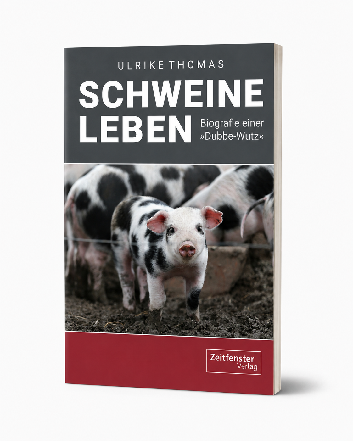 Schweineleben – Biografie einer »Dubbe-Wutz«