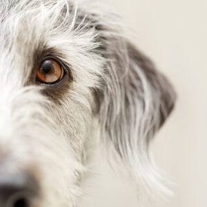 AdobeStock_196559610